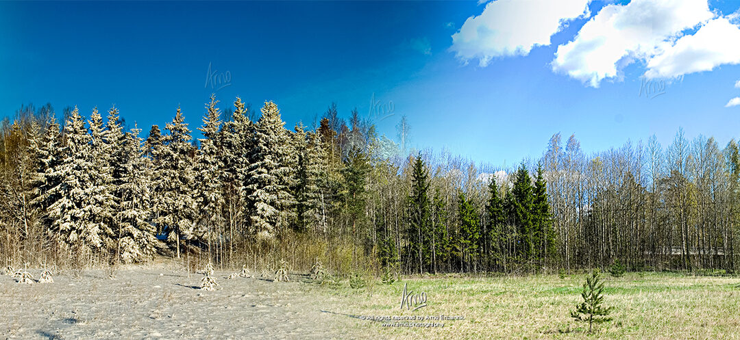 Series (pt. i): seasons in Finland