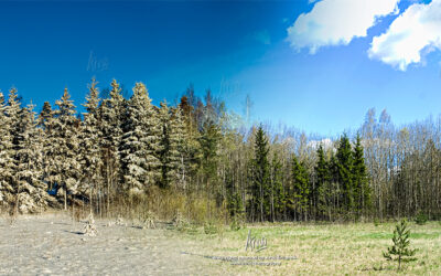 Series (pt. i): seasons in Finland