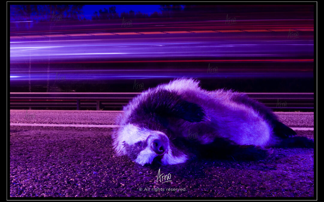 This is an example post