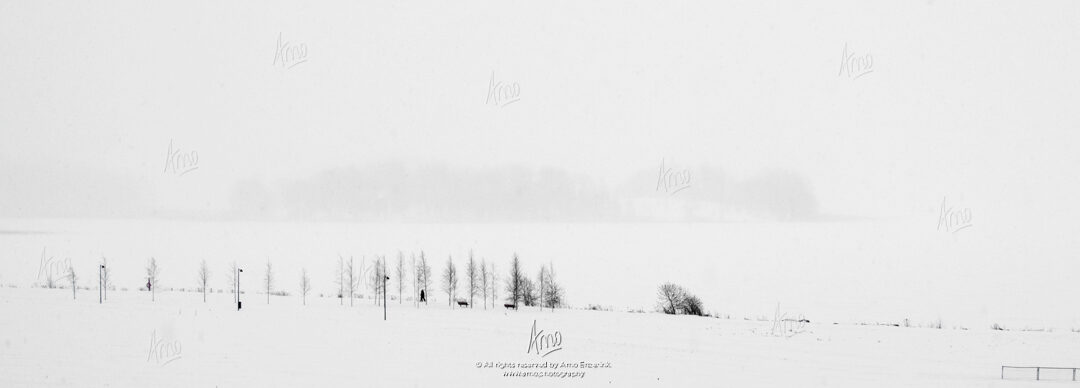 A year on Arabianranta