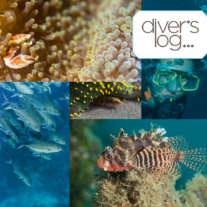Dive log cover