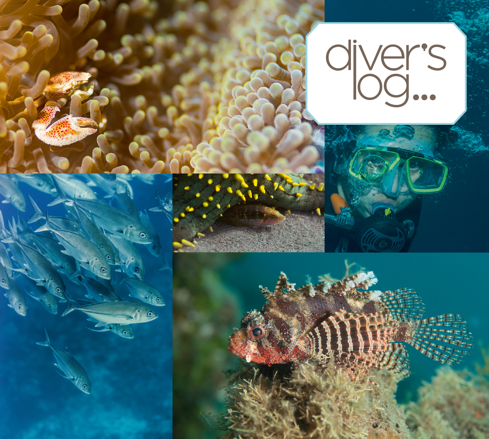 Dive log cover