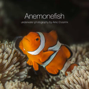 Anemonefish e-book cover