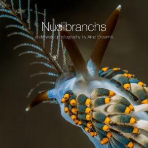 Nudibranchs, e-book