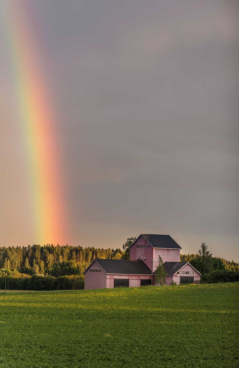 Rainbow Behind a Pink Farmhouse